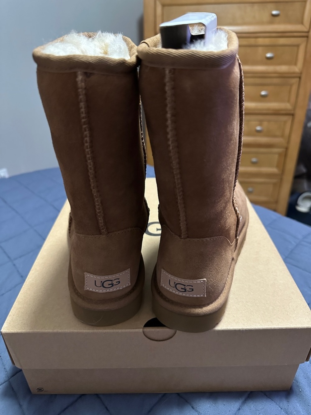 UGG Classic Short Boot in Chestnut Brown - Picture 2 of 7